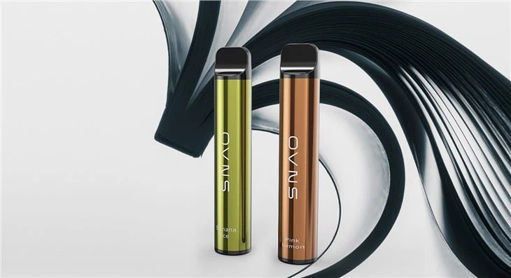 Vape Smoke Disposable Vape